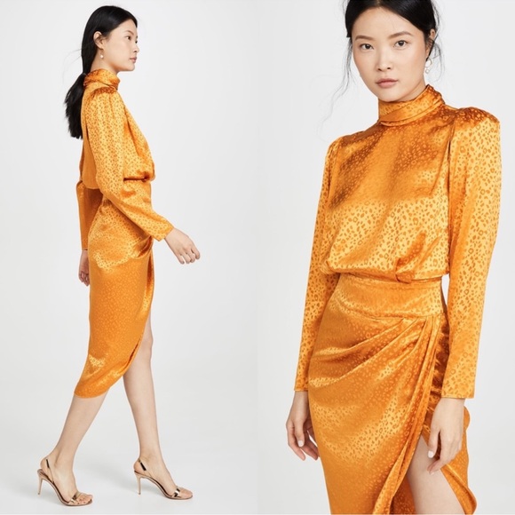 Ronny Kobo Kaira Silk Jacquard Leopard Dress Size Small - Picture 16 of 16